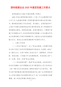 国有能源企业2025年基层党建工作要点