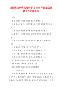 国资国企系统党组织书记2025年抓基层党建工作述职报告
