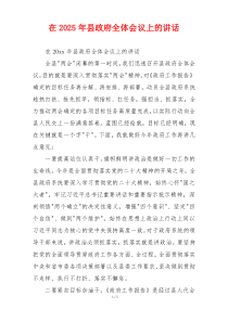 在2025年县政府全体会议上的讲话