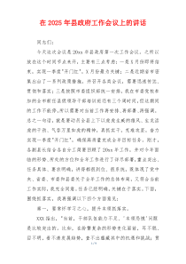 在2025年县政府工作会议上的讲话