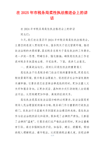 在2025年市税务局柔性执法推进会上的讲话