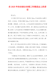 在2025年治安综合治理工作推进会上的讲话
