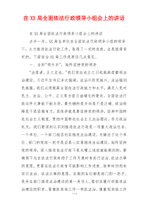 在XX局全面依法行政领导小组会上的讲话