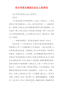 在公司党支部成立会议上的讲话