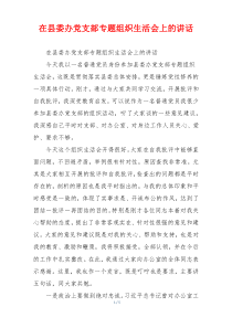 在县委办党支部专题组织生活会上的讲话