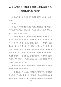 在参加下级党组织领导班子主题教育民主生活会上的点评讲话