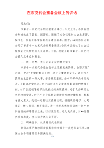 在市党代会预备会议上的讲话