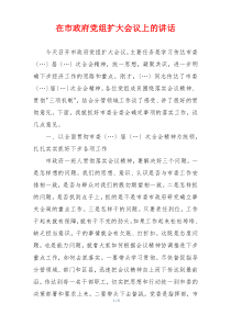在市政府党组扩大会议上的讲话