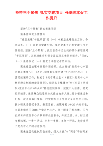 坚持三个聚焦 抓实党建项目 强基固本促工作提升