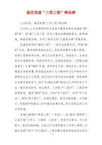 基层党建“三项工程”铸品牌