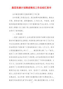 基层党建计划推进情况工作总结汇报市