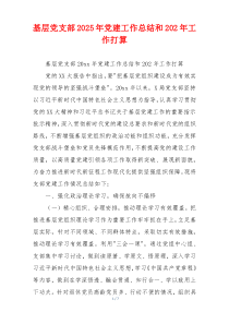 基层党支部2025年党建工作总结和202年工作打算