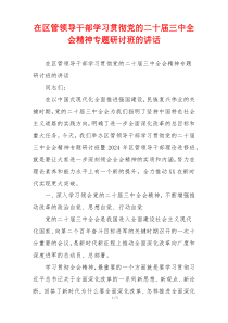 在区管领导干部学习贯彻党的二十届三中全会精神专题研讨班的讲话
