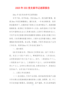 2025年XXX党支部书记述职报告