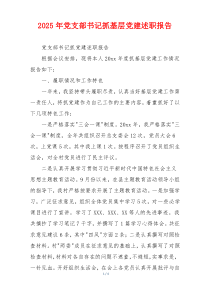 2025年党支部书记抓基层党建述职报告