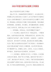 2025年党支部书记述职工作报告