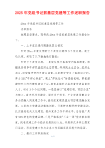 2025年党组书记抓基层党建等工作述职报告