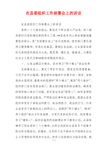 在县委组织工作部署会上的讲话