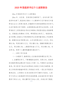 2025年党组织书记个人述职报告