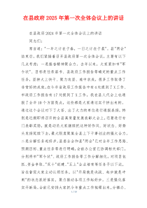 在县政府2025年第一次全体会议上的讲话