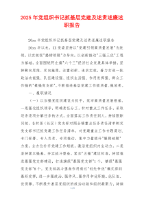 2025年党组织书记抓基层党建及述责述廉述职报告