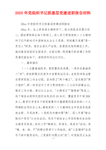 2025年党组织书记抓基层党建述职报告材料