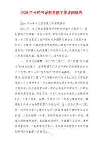 2025年分局书记抓党建工作述职报告