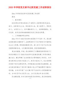 2025年学校党支部书记抓党建工作述职报告