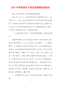 2025年学校领导干部试用期满述职报告