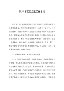 2025年区委党建工作总结