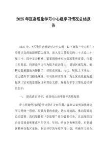 2025年区委理论学习中心组学习情况总结报告