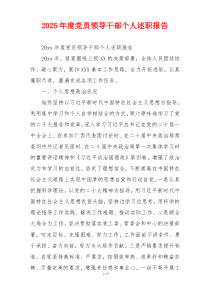2025年度党员领导干部个人述职报告