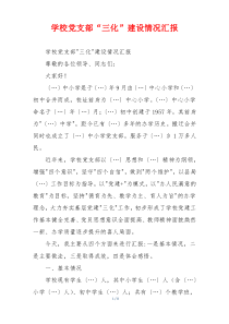学校党支部“三化”建设情况汇报