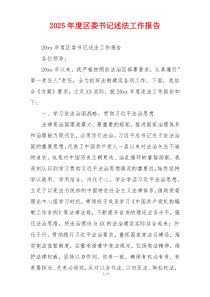 2025年度区委书记述法工作报告