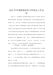 2025年市残联规范性文件制定工作总结