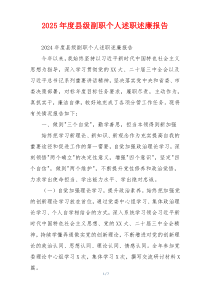 2025年度县级副职个人述职述廉报告