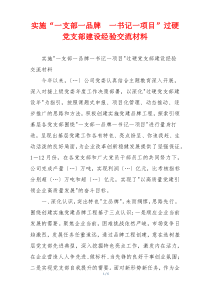 实施“一支部一品牌  一书记一项目”过硬党支部建设经验交流材料
