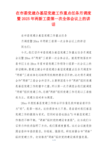 在市委党建办基层党建工作重点任务月调度暨2025年两新工委第一次全体会议上的讲话