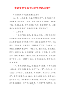 审计室党支部书记抓党建述职报告