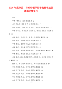 2025年度市委、市政府领导班子及班子成员述职述廉报告
