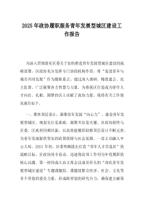 2025年政协履职服务青年发展型城区建设工作报告
