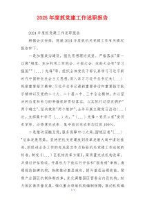 2025年度抓党建工作述职报告
