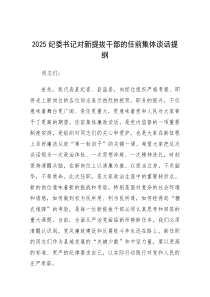 2025年新提拔干部任前集体谈话提纲（纪委书记）