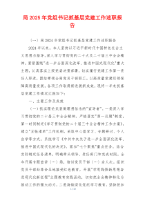 局2025年党组书记抓基层党建工作述职报告