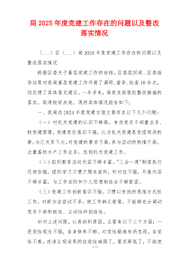 局2025年度党建工作存在的问题以及整改落实情况