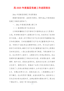 局2025年度基层党建工作述职报告