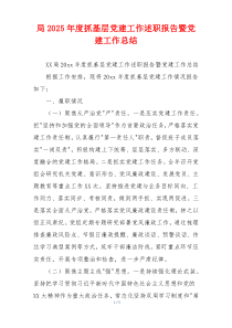 局2025年度抓基层党建工作述职报告暨党建工作总结