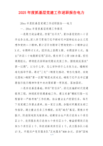 2025年度抓基层党建工作述职报告电力