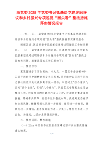 局党委2025年党委书记抓基层党建述职评议和乡村振兴专项巡视“回头看”整改措施落实情况报告