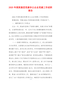 2025年度抓基层党建非公企业党建工作述职报告
